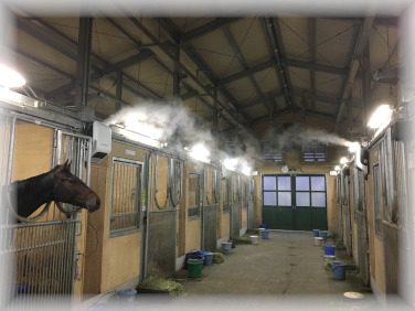 競馬厩舎1