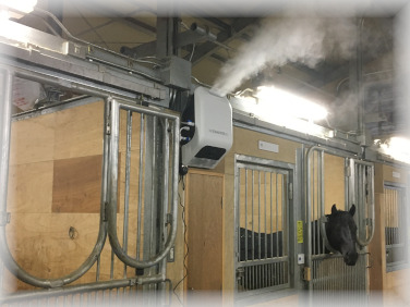 競馬厩舎2